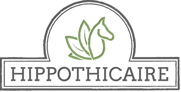 Hippothicaire